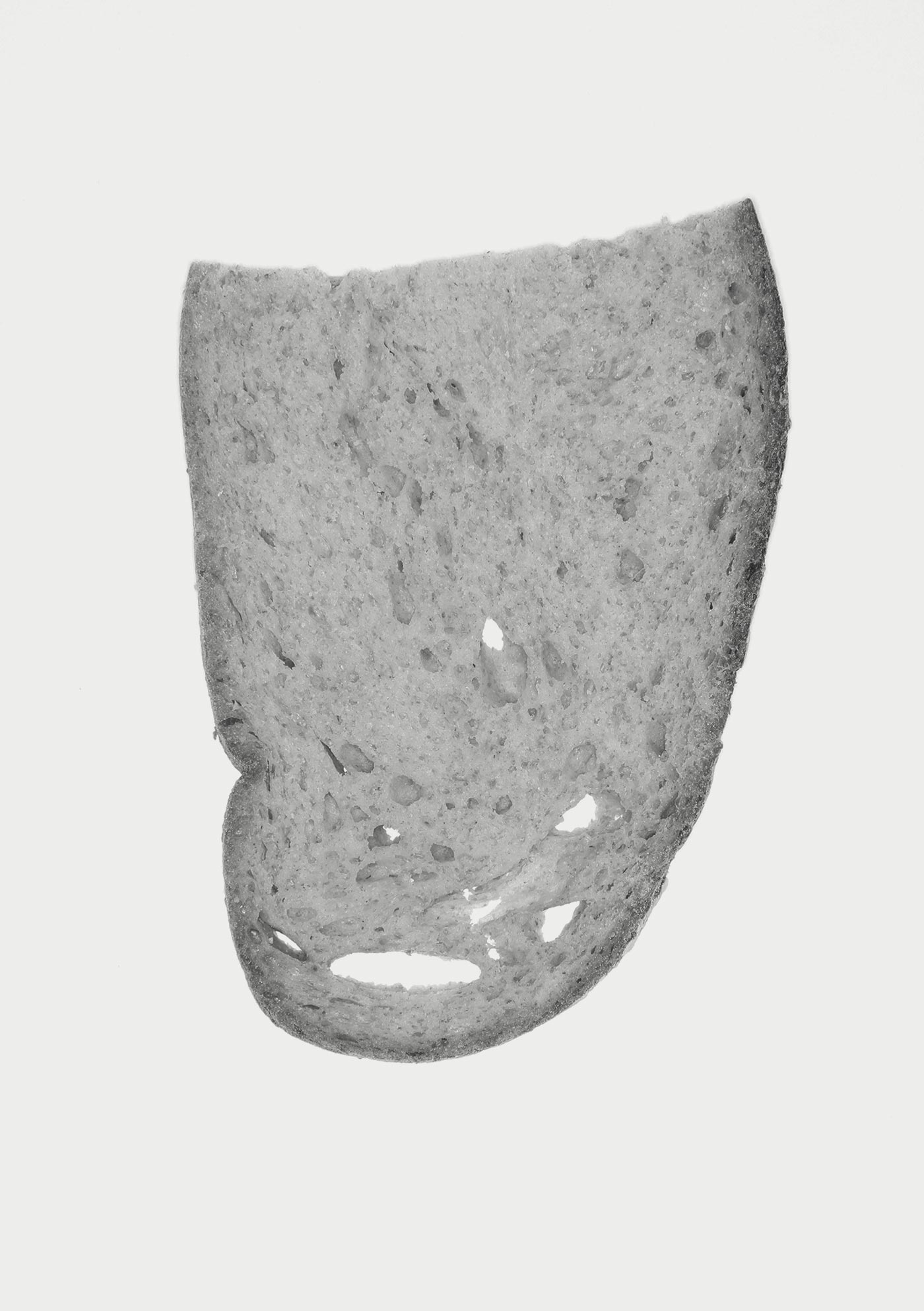 Untitled (sandwich book) (2013)